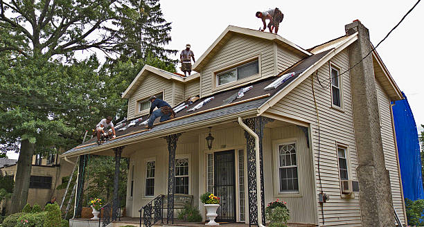 Best Roof Gutter Cleaning  in Bingham Farms, MI